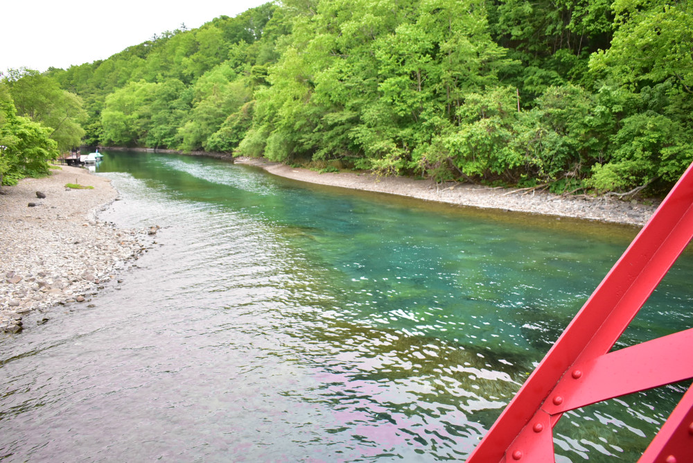 千歳川の水面に支笏湖ブルーの片鱗が