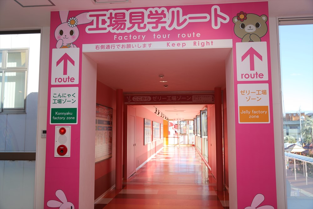 2ルートに分かれているが、どちらも見学できる