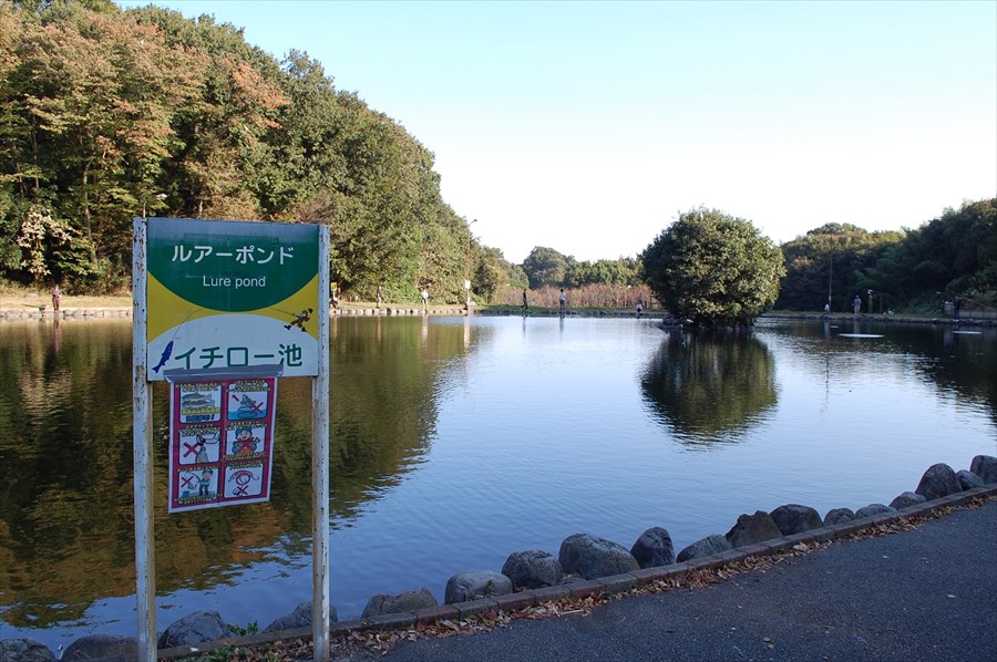 魚の匹数が一番多い「イチロー池」。ポンドの周囲は、およそ250メートル、水深は一番深いところで4.5メートル