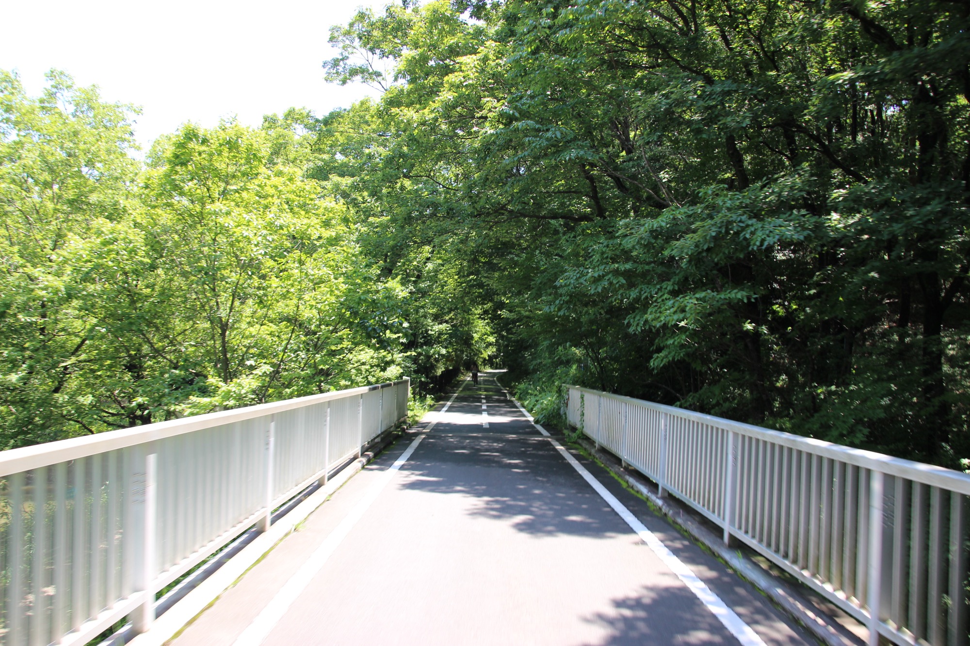 生い茂った木々の間を自転車で走るのは気持ちいい！