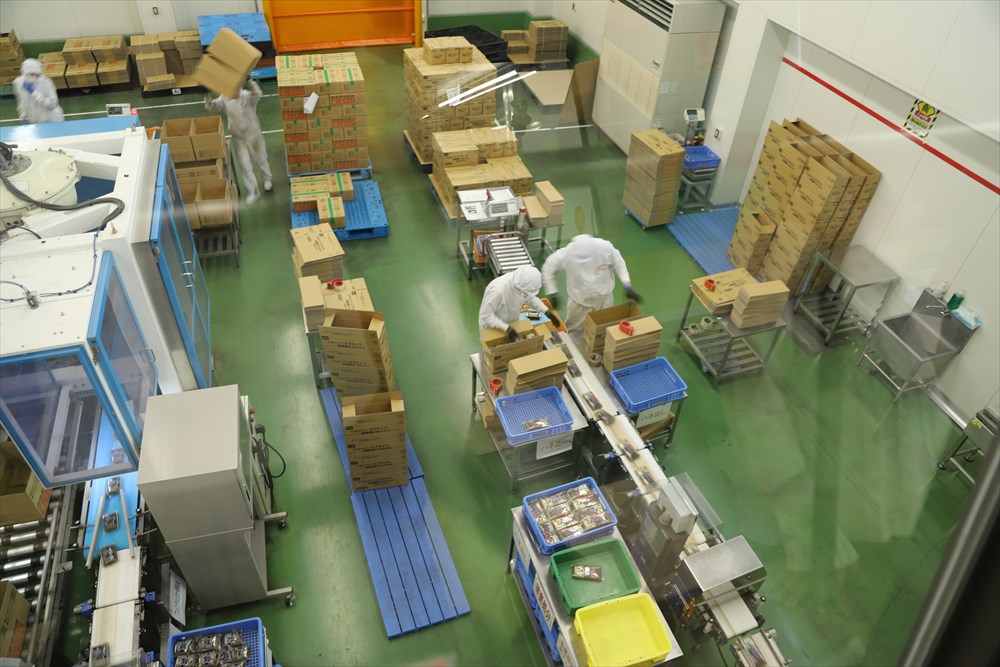 板こんにゃくが梱包される工程