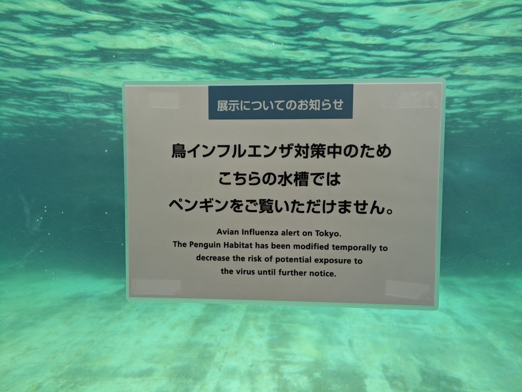 なお、葛西臨海水族館のもうひとつの名物といえばペンギンの展示。残念ながら取材時は鳥インフルエンザ対策のため、間近でのペンギン観察はできなかった