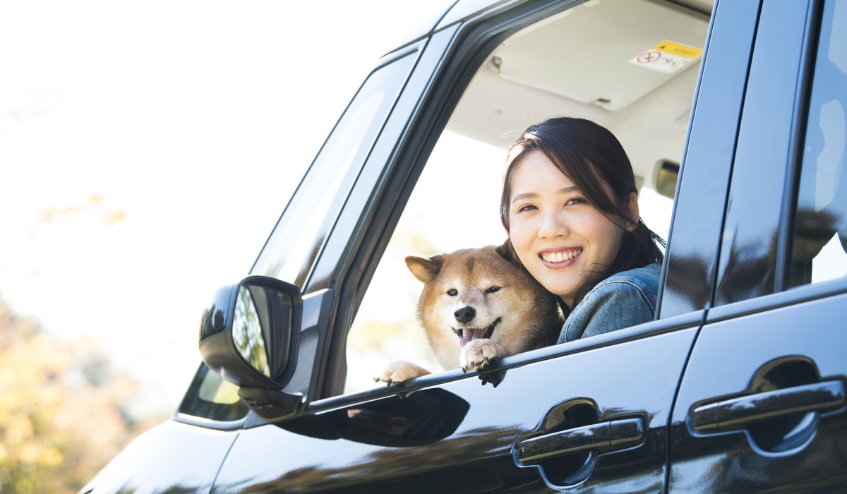 ペットとクルマに乗る人