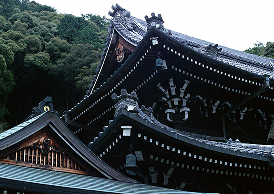 箱根のほうまで足を伸ばすのも楽しい