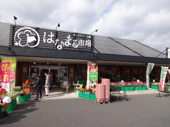 房総半島には道の駅がたくさん!休憩だけではなく買い物や遊べるところもたくさんあります
