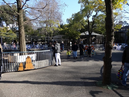 動物園にはふれあいコーナーもあります