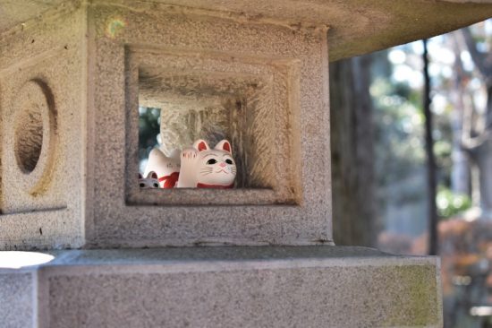 灯籠の中からも招き猫が覗く