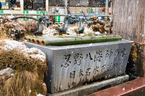 湧き水を飲んでみると、すっきりした味わい