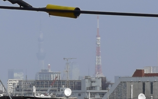 これは見えたと言っていいのか!?
