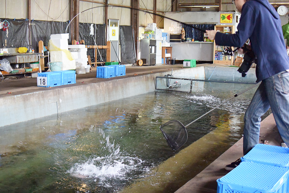 魚がかかった！釣り上げるところがまさに醍醐味。