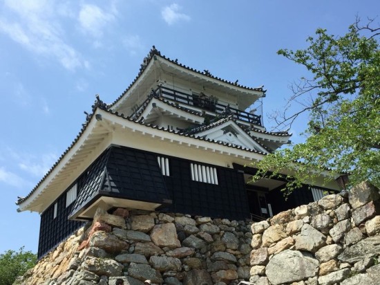 浜松城周辺は公園になっていて散策も楽しかったです