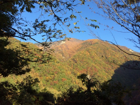 朝の南アルプスの眺め。山の上のほうはもっと紅葉が鮮やかでした