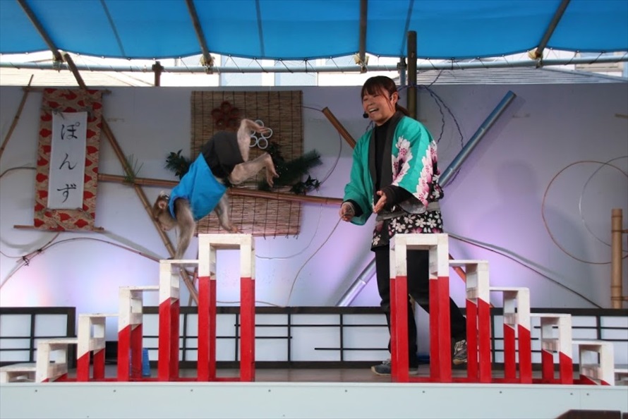 この日、芸を披露してくれたのは「ぽんず」。トレーナーさんとの息もピッタリ