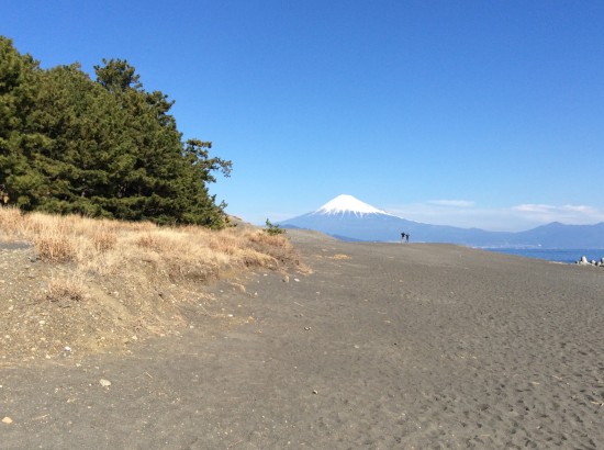この富士山が見たかった!ようやくご対面です