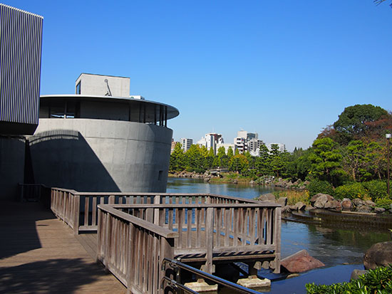 公園の緑に包まれた心地良い景観