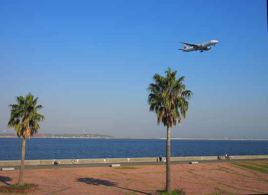 頭上を飛行機が飛び交います