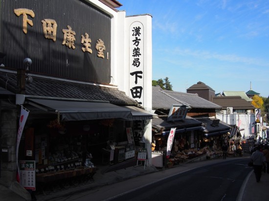 成田山新勝寺山門へ続く表参道