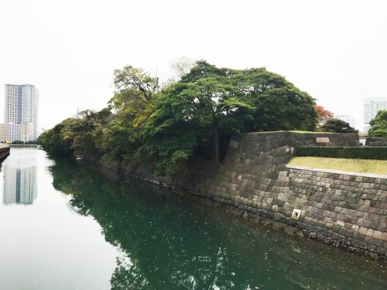 外から眺めた庭園。ビルに囲まれた都会のオアシス