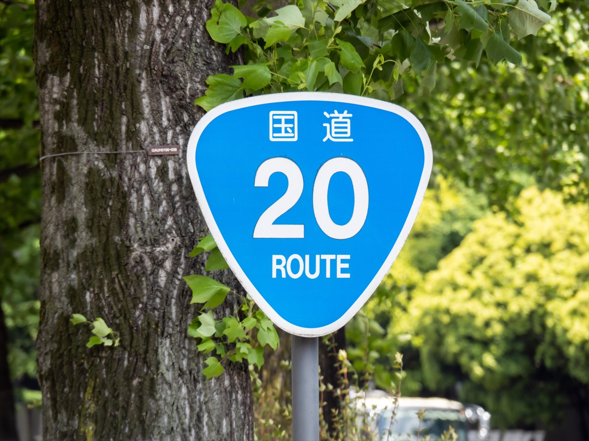 写真のように「国道」の文字がない表示もある