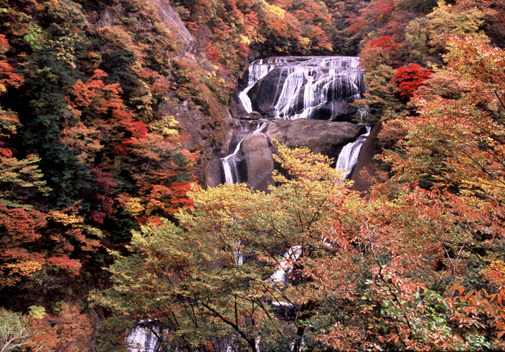 紅葉の時期も美しいですが、どの季節に行っても美しいのが特徴