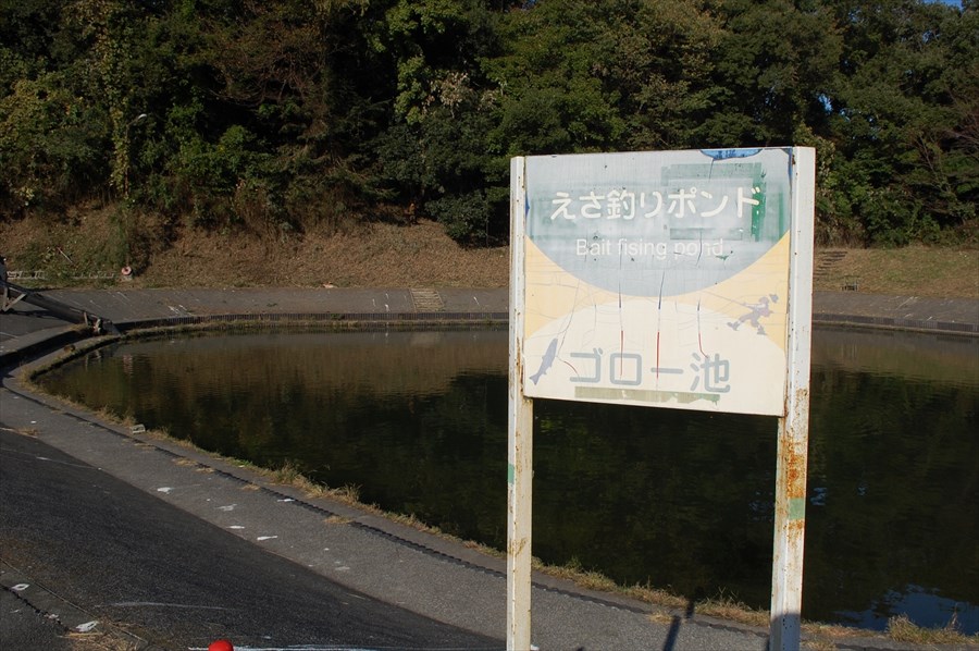 最深部は2メートルと浅く、どこに魚がいるのか目視で確認できる