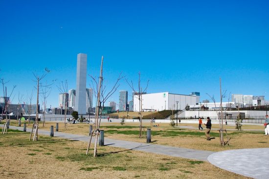 「豊洲ぐるり公園」は「豊洲市場」の休市日でも入園することができます
