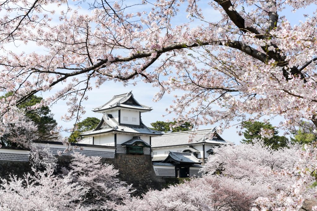 春は、満開の桜と金沢城がコラボした絶好のお花見スポットに。石川門、大手堀、白鳥路（はくちょうろ）、菱櫓（ひしやぐら）の内堀などは、ビュースポットとして人気があります。
