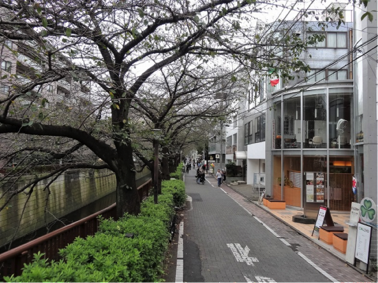 アパレル店、飲食店など個性的なお店が立ち並ぶ目黒川沿い