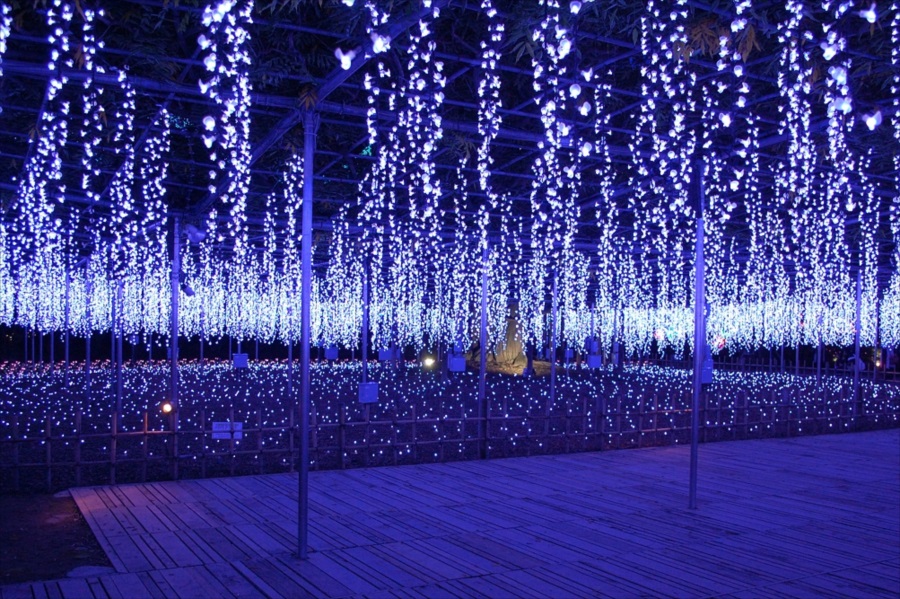  「奇蹟の大藤」。よく見ると一つひとつが藤の花になっていることがわかる  