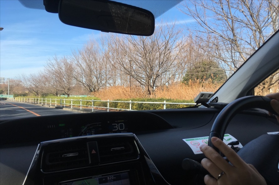 神代植物公園通りの桜並木は、春には桜のトンネルができる