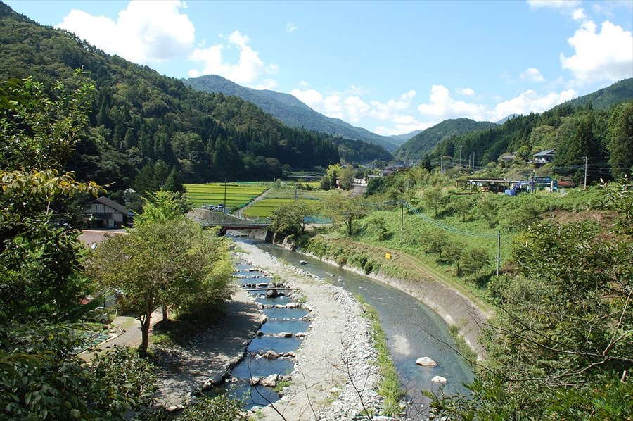  取材時した時期は夏の終わり。深い緑はもうじき秋色に一変する 