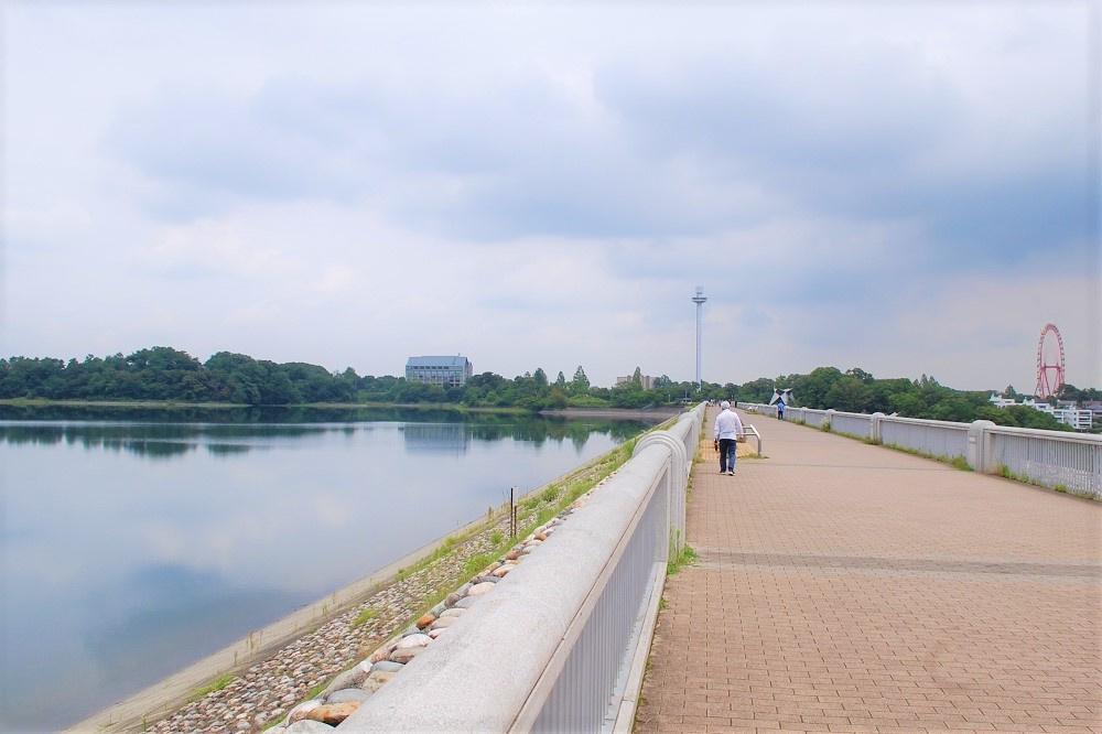 堤防上の通路を使えば、多摩湖を眺めながら「西武園ゆうえんち」の近くまで散策ができる