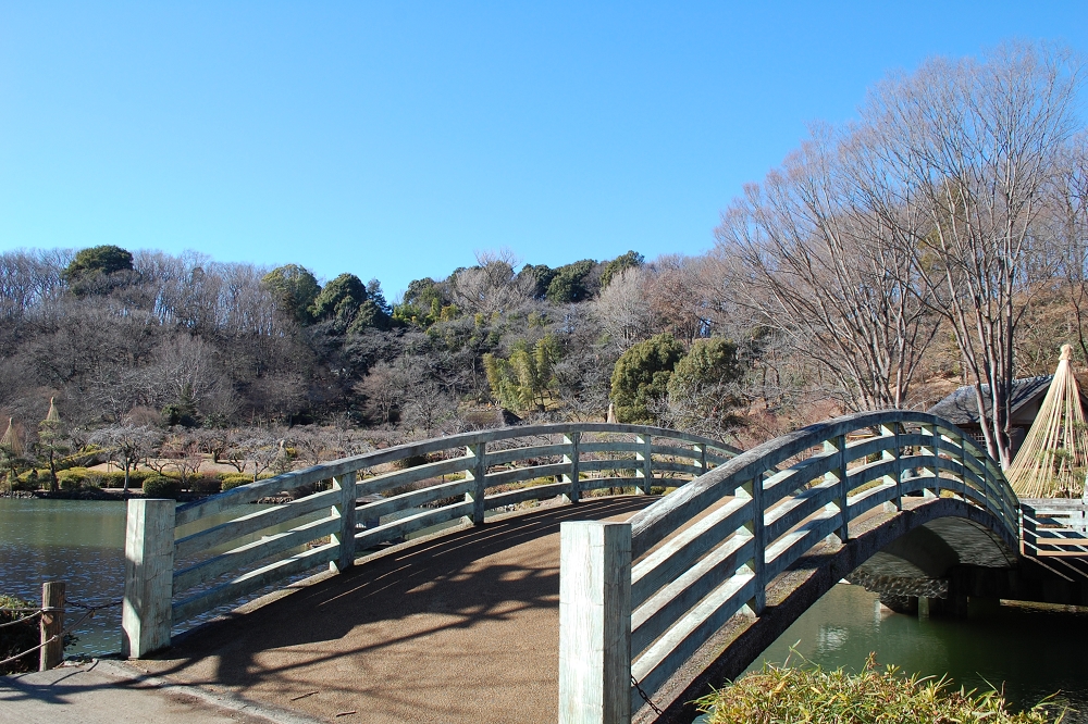 薬師池の周辺には約250本の桜の木が植えられており、桜の名所としても知られている