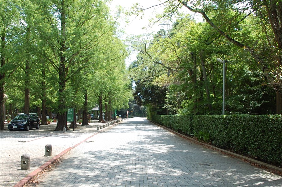 「リソルの森」内を通る道路は駐停車禁止。施設間を移動する利用客も多いので、徐行して走行すること
