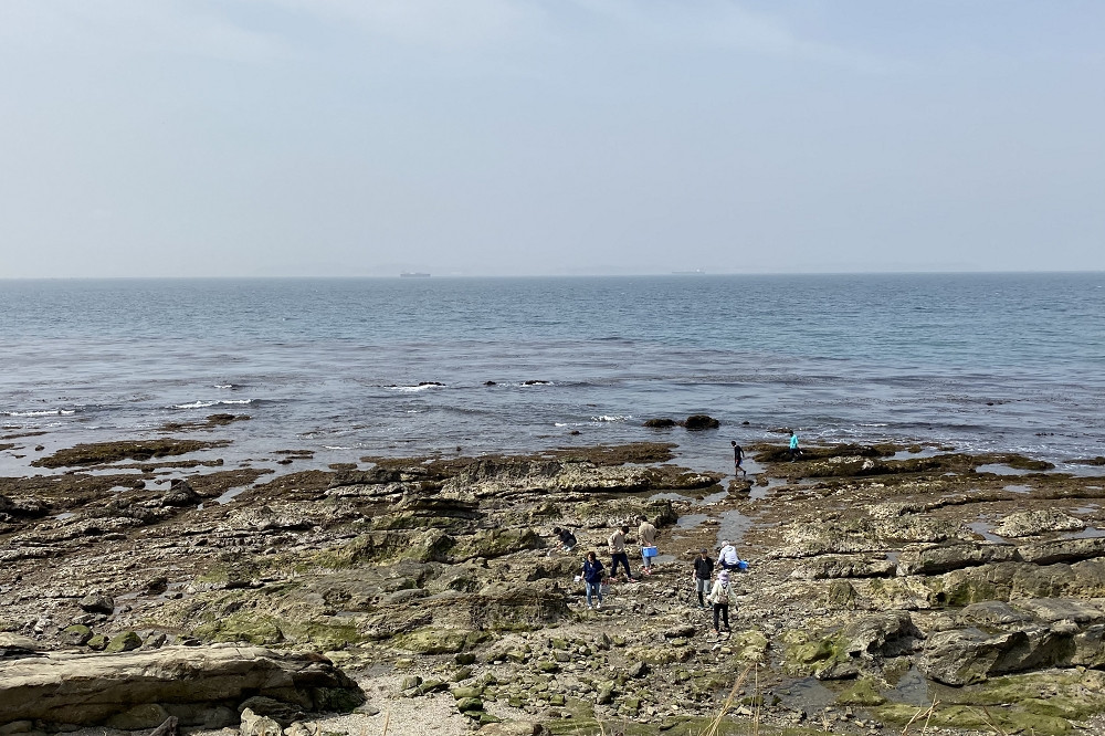  隣接する海岸では磯遊びができる 