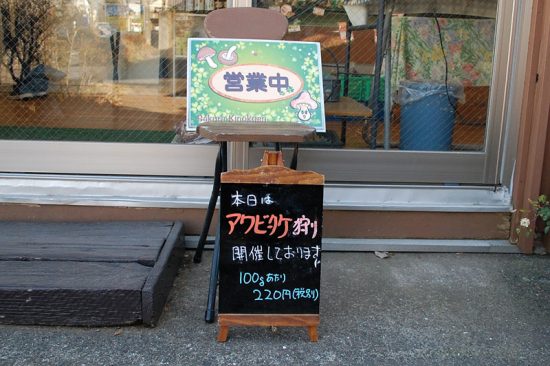 アワビタケは炒めてもおいしく、とてもおいしいお出汁がでるので煮物にも適しています
