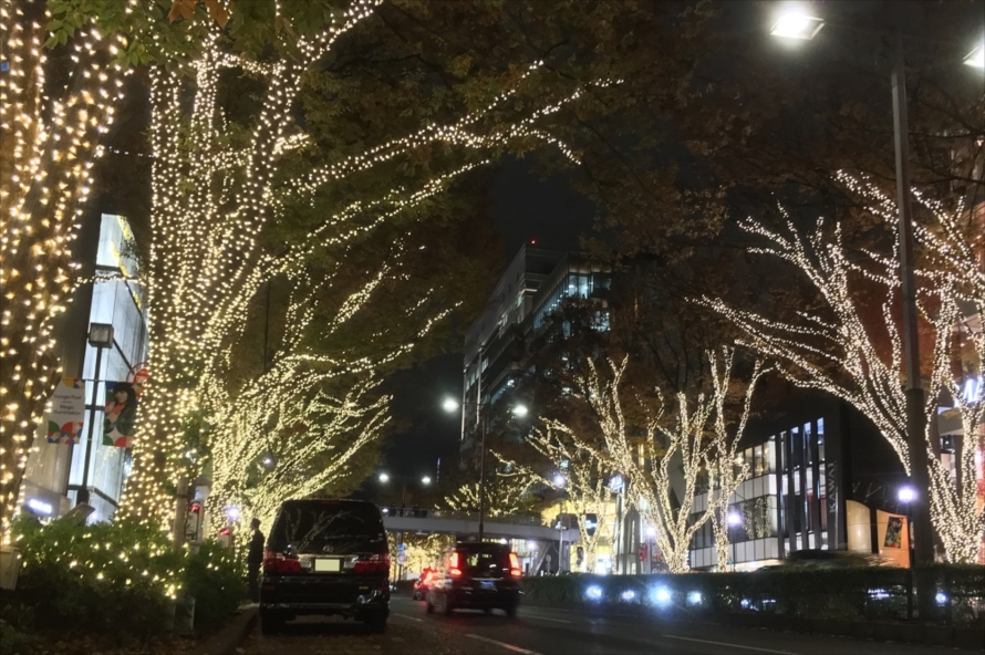 点灯は日没から22時まで。17時から21時までは1時間おきに、光と音楽のスペシャルなショー「光のエンターテイメント」が実施される