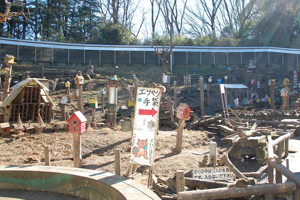 リス放し飼い広場に入ると、まるで違う世界に訪れたような気分にさせてくれる