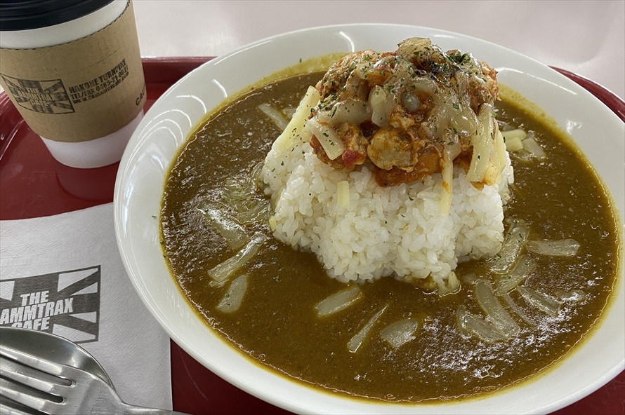 富士山をイメージしたライスの上に乗るのは、トマトで煮込んだピリ辛チキン。刺激的なマグマに汗がにじむ