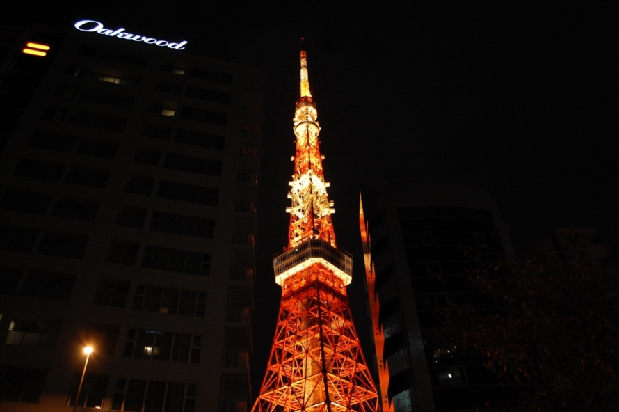 毎週金曜と土曜は月ごとに12色のカラーで輝き、1時間ごとにデザインが変わるそう。祝日やイベント開催時にも特別なパターンで点灯する