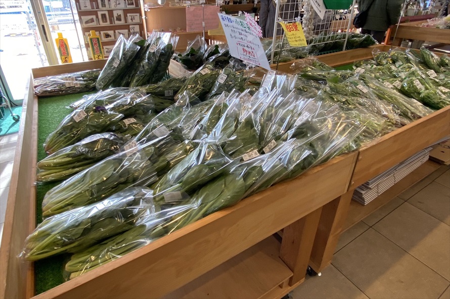 大きさも鮮度にも見事な地物の野菜ばかり。各野菜の説明や料理方法がポップに記されており、とてもありがたい