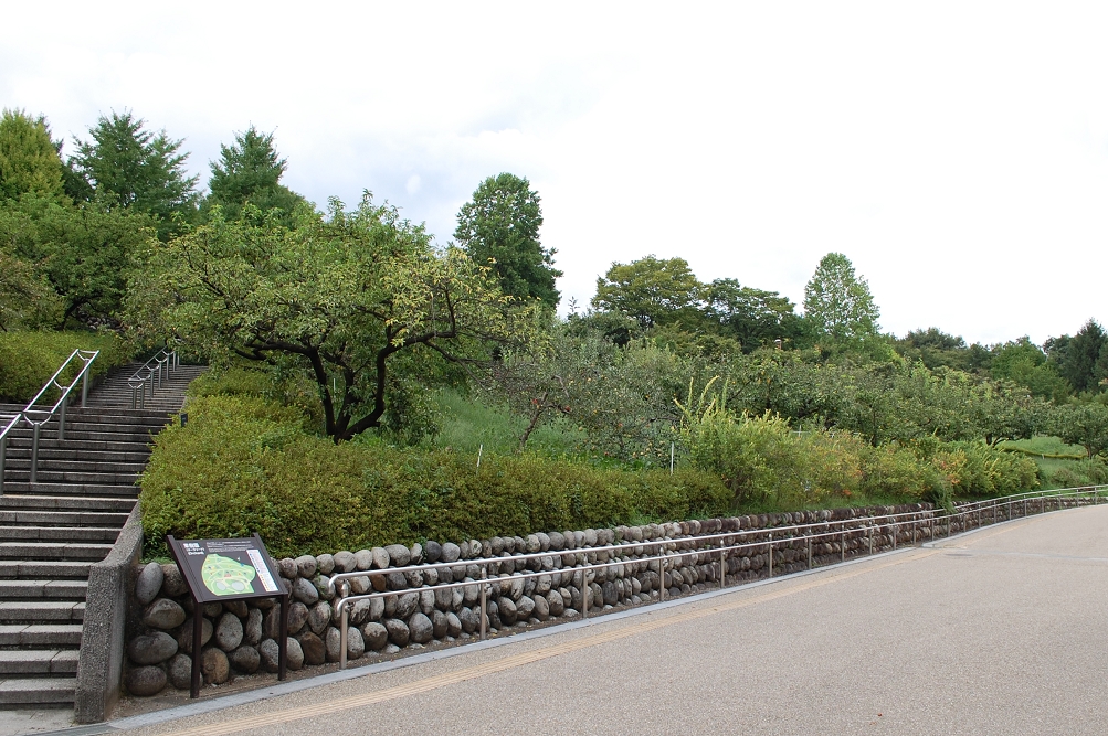  「山梨県笛吹川フルーツ公園」は、ほったらかし温泉からクルマで約5分 