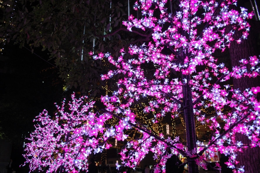 イルミネーションをよく見てみると、一つひとつが桜の中のようになっていた