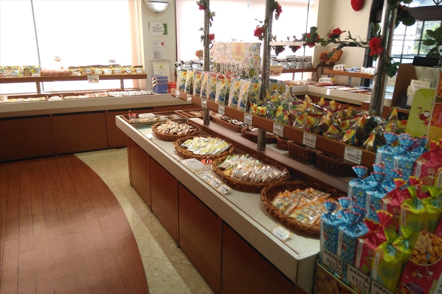 洋菓子や和菓子だけでなく、ケーキやプリンなどの生菓子も売っている 