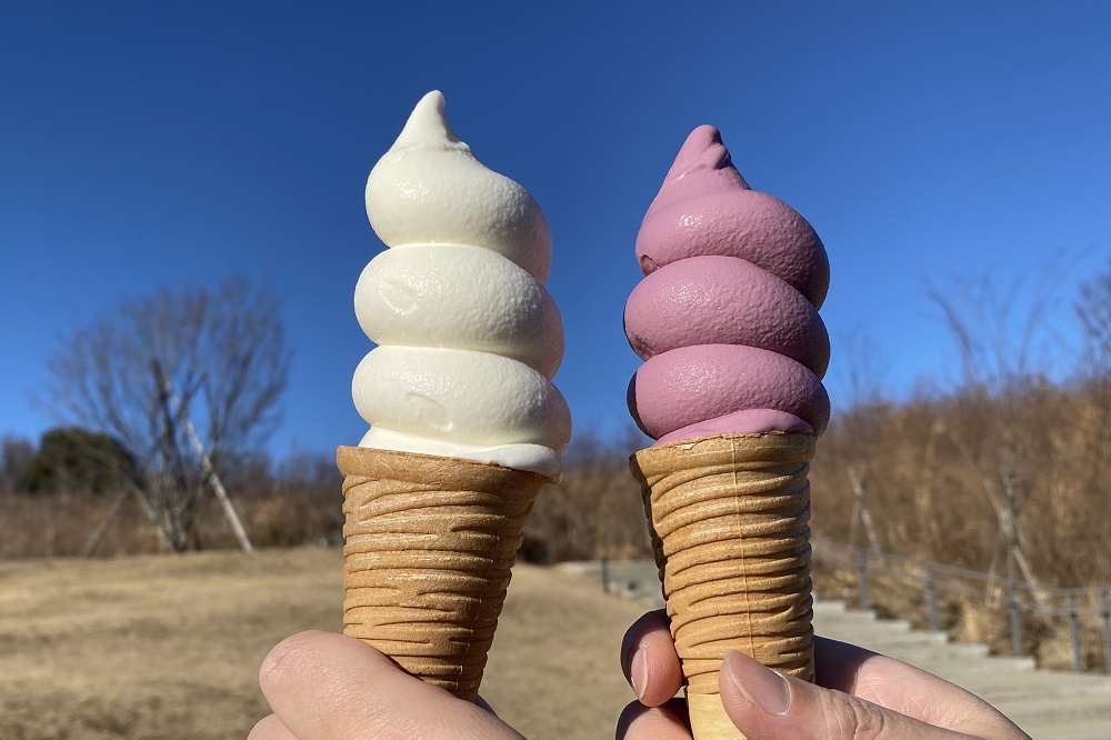 薬師ソフトクリームと薬師ブルーベリーソフトクリーム、共に料金は430円(税込)