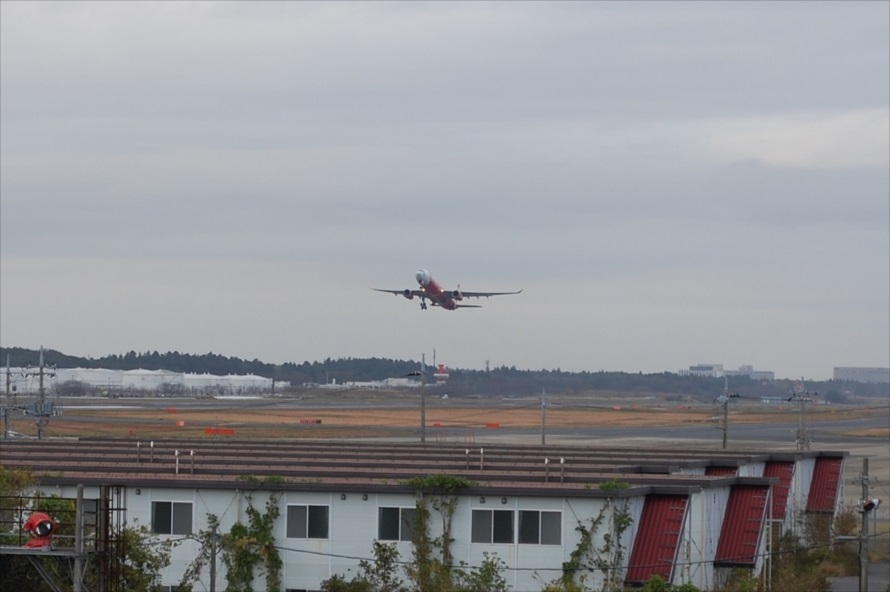南風が吹いている場合、離陸する姿を見ることができ、北風が吹いていると着陸姿(後ろ姿)を見ることができる