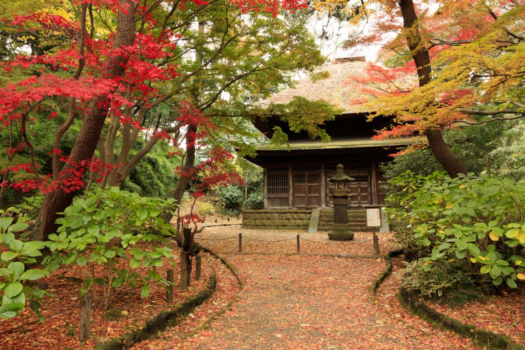 紅色に染まる庭園はフォトスポットとしても人気