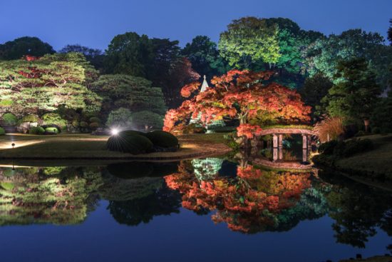 紅葉シーズンはライトアップされる(画像素材:PIXTA)