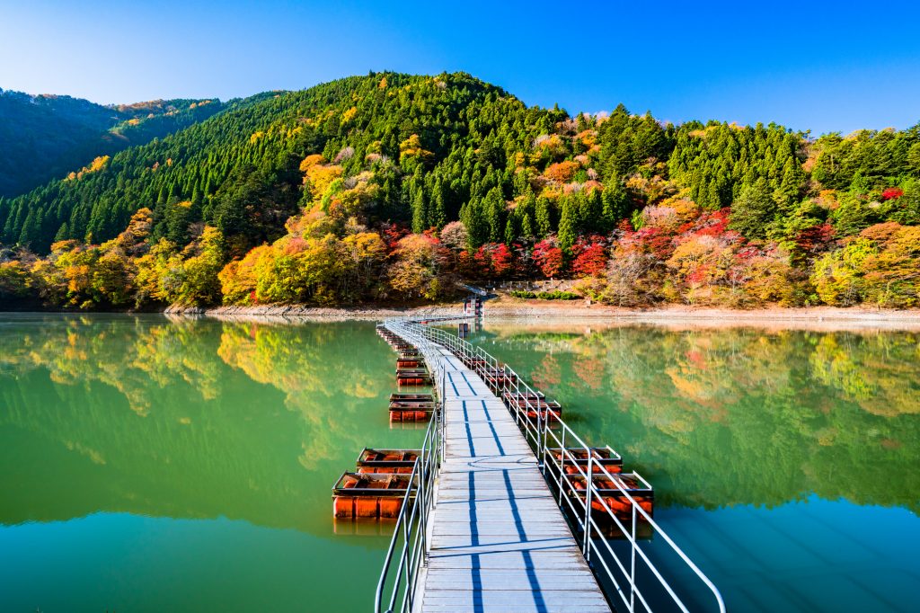 ドラム缶橋としても知られる「麦山の浮橋」から眺める紅葉
