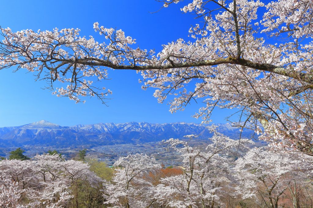 ため息が出てしまうほど雄大な景色